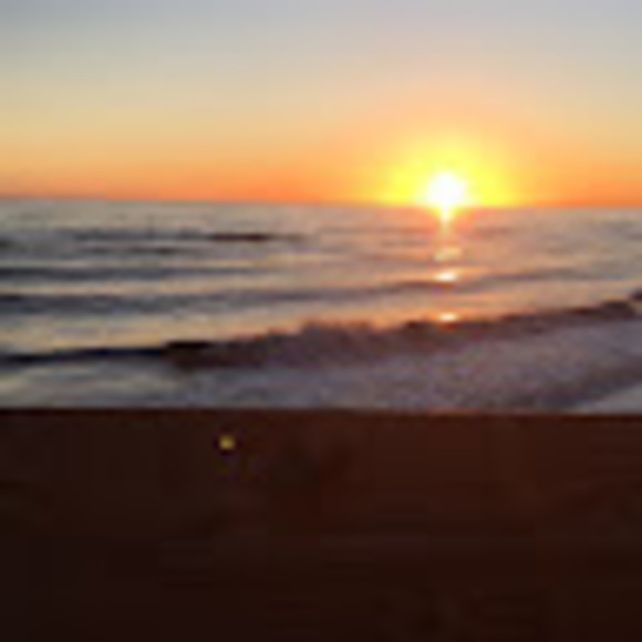 Meet your Posher, Kylie - Picture 1 of 1